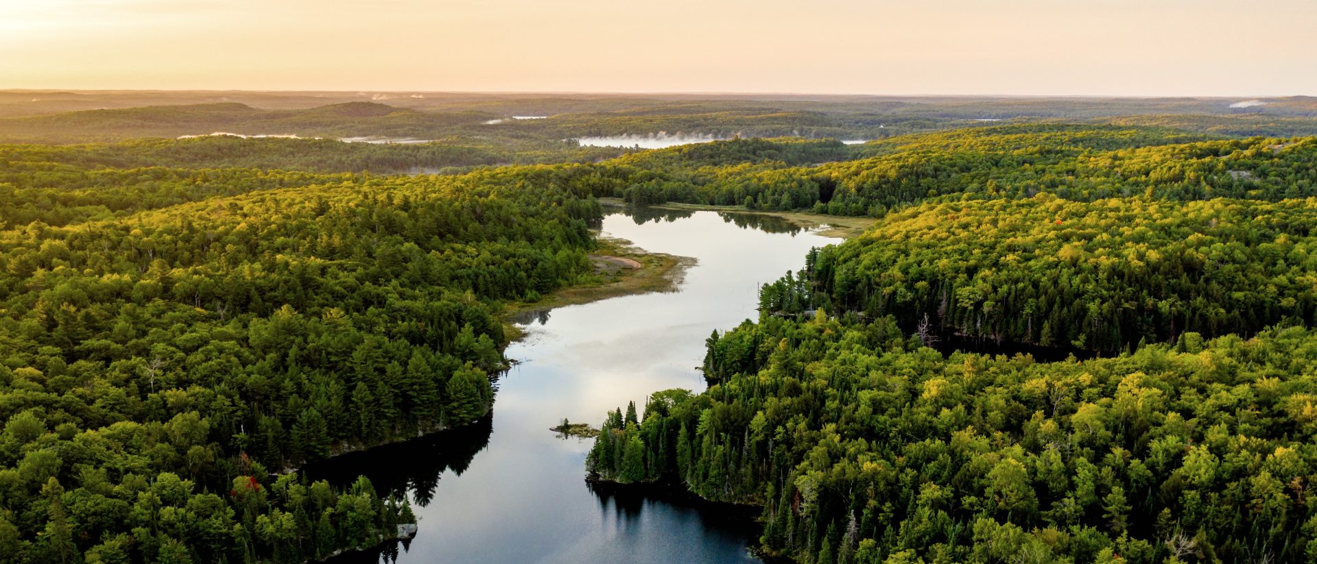 Das Bild zeigt eine Landschaft mit einem Fluss oder See, der sich durch einen dichten, grünen Wald zieht. Der Horizont ist zu sehen, und die Szene wirkt friedlich und naturbelassen.