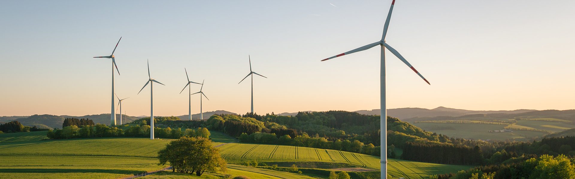 Gründungsboom für nachhaltige Wirtschaft: 42 neue Energiegenossenschaften 2022
