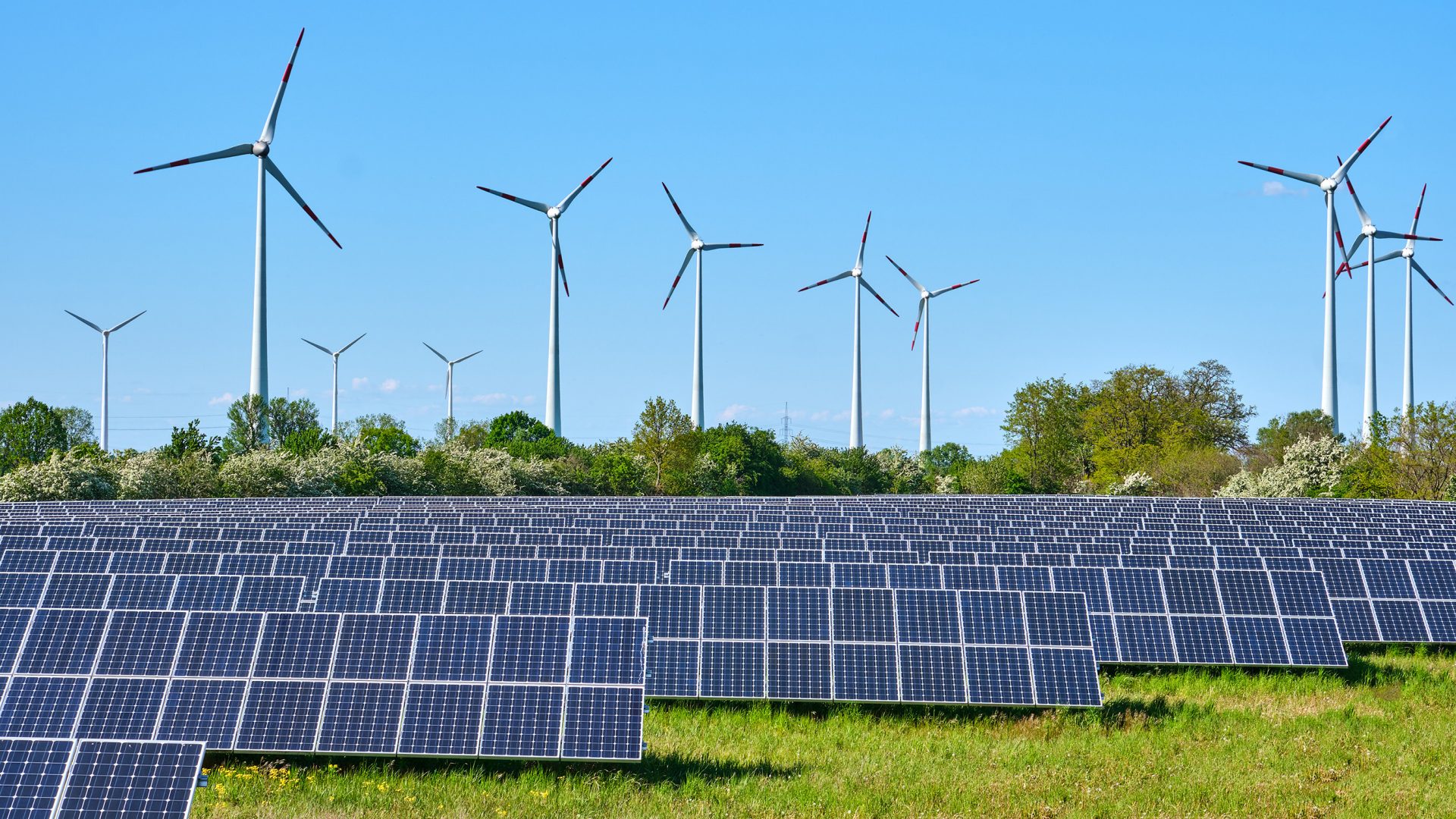 Das Bild zeigt eine Kombination aus Solarpanelen und Windkraftanlagen an einem sonnigen Tag in einer grünen Landschaft. Es symbolisiert die Nutzung erneuerbarer Energien durch Solar- und Windkraft.