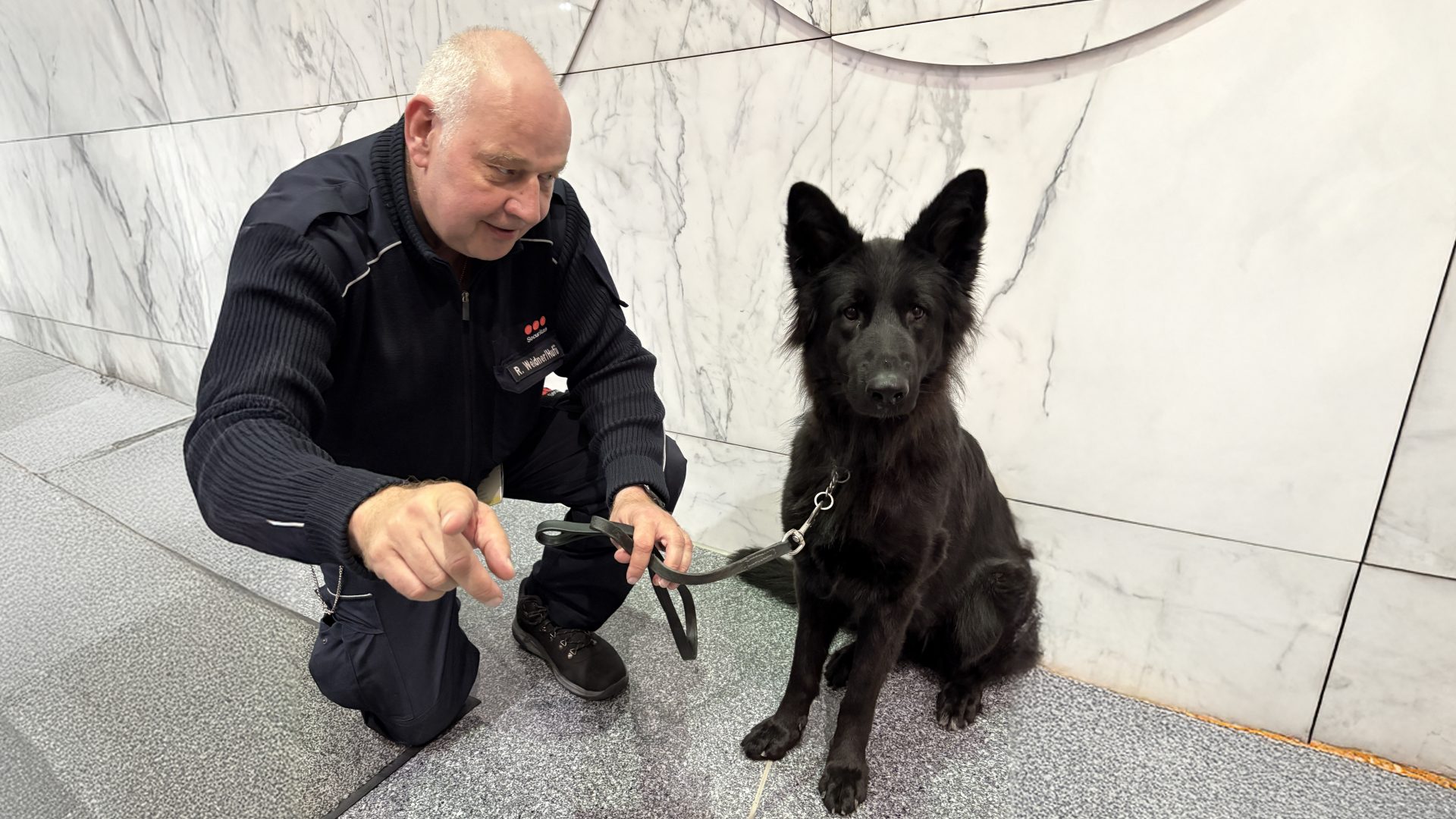Das Bild zeigt eine Person, die mit einem Hund interagiert. Die Person ist in Uniform und kniet auf dem Boden, während sie den Hund anleint oder ihn streichelt. Der Hund sitzt und schaut in die Kamera.