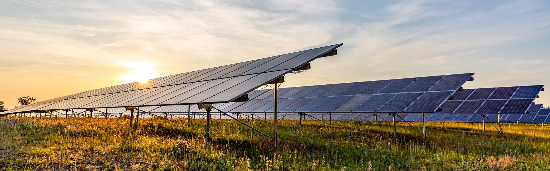 Energieexpertin Alexandra Pohl im Interview